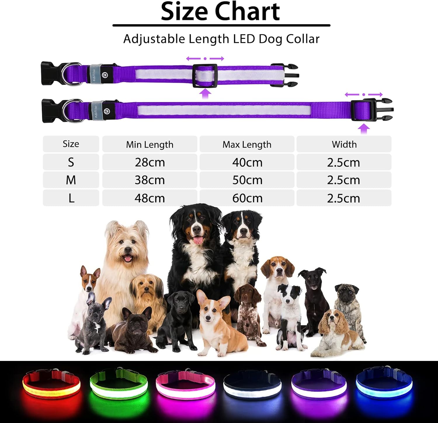 Rechargeable LED Dog Collar, Waterproof Light Up Flashing Safety Collar for Small Medium Large Dogs Purple
